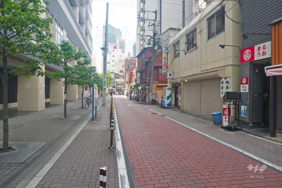 敷地の北側道路