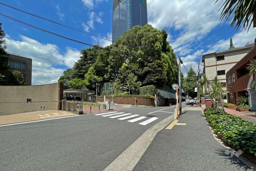 敷地の東側前面道路（南側から）