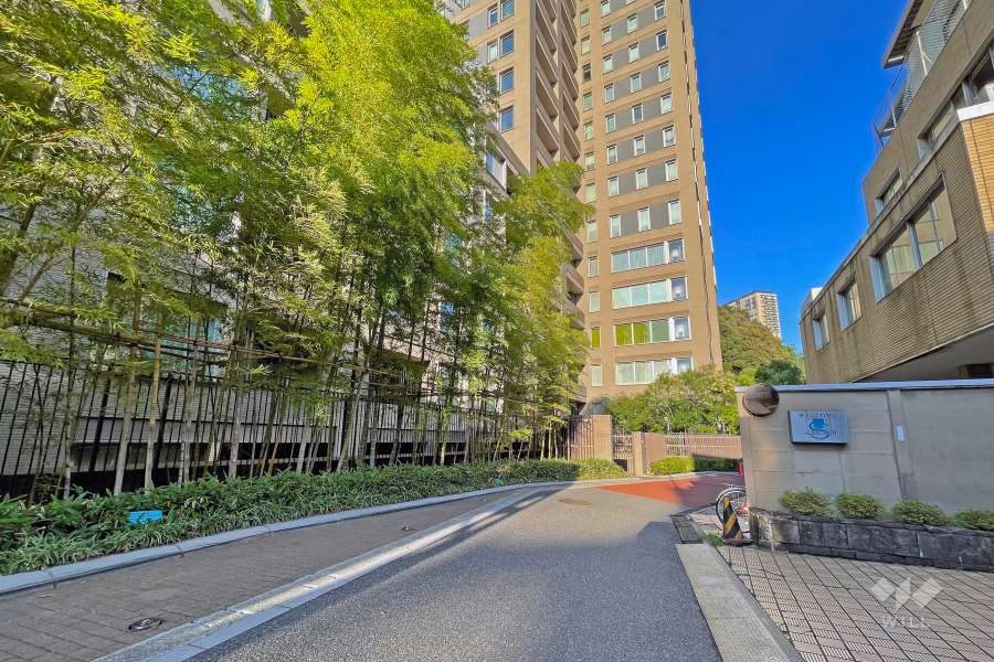 敷地の南側前面道路（西側から）