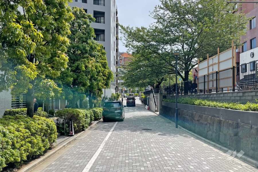 敷地北西側の前面道路（北東側から）