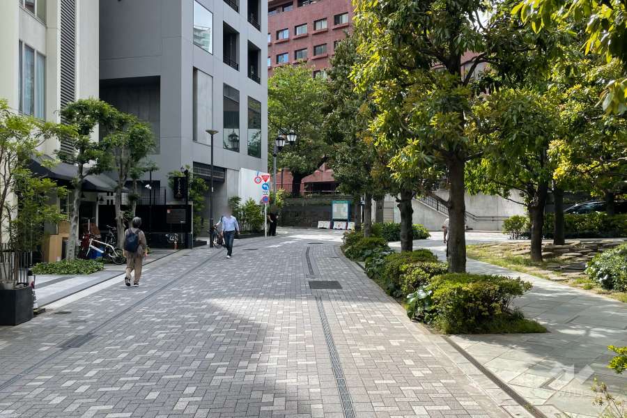 敷地南側の前面道路（東側から）