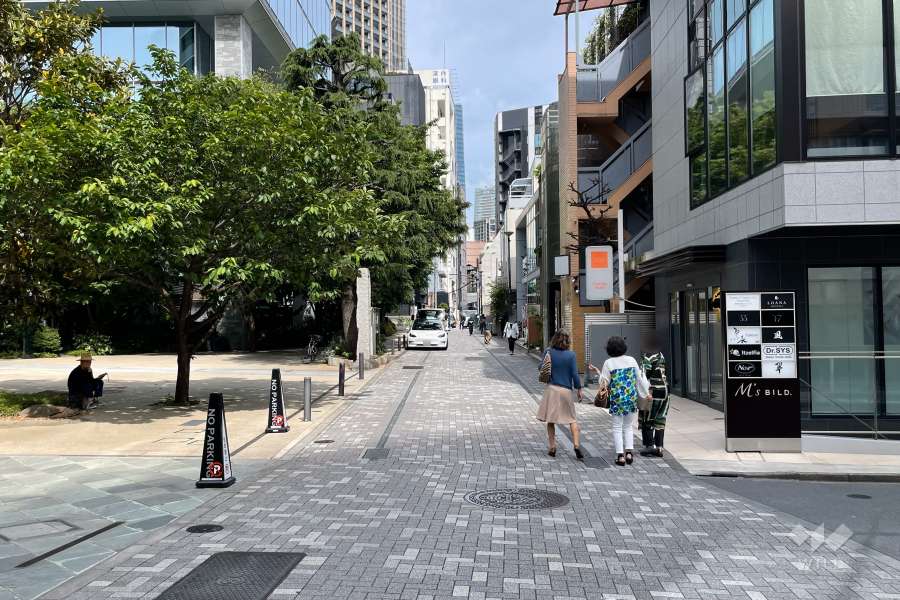 敷地南側の前面道路（西側から）