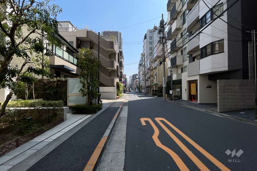 敷地西側の前面道路（北側から）