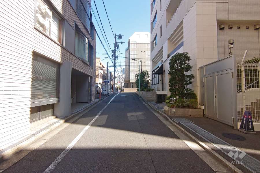 敷地北側の前面道路（西側から）