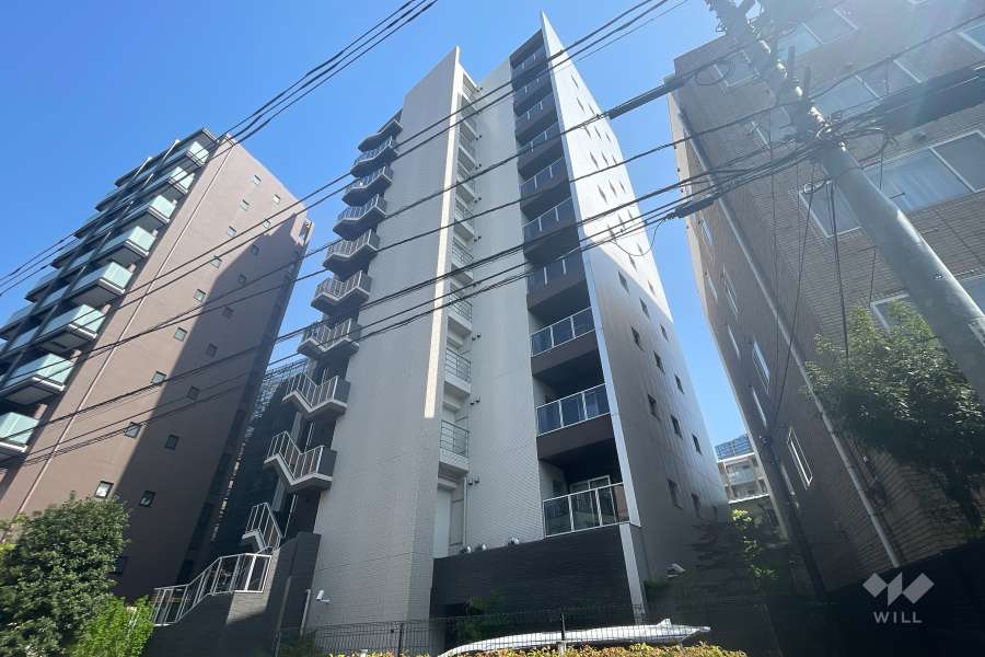 ブランズ南麻布の外観（北西側から）