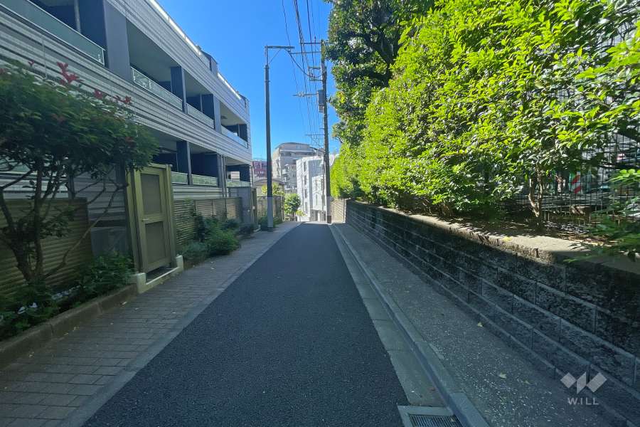敷地北西側の前面道路（北東側から）