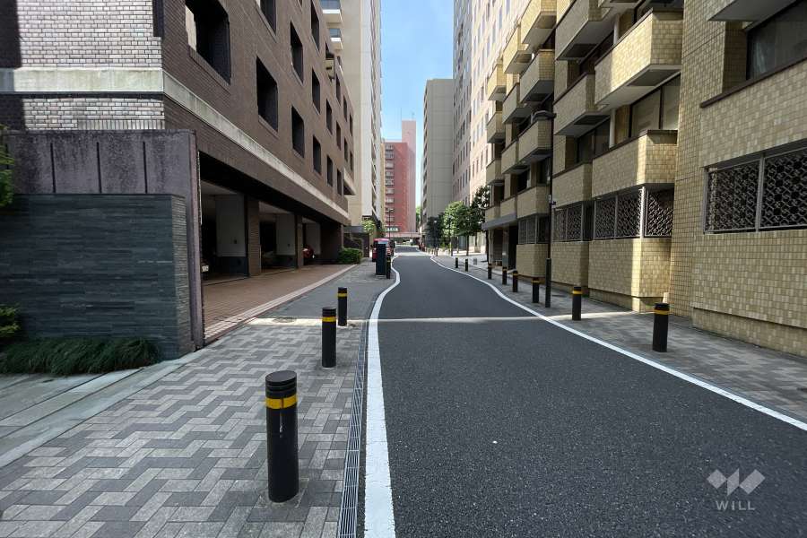 敷地北西側の前面道路（北東側から）