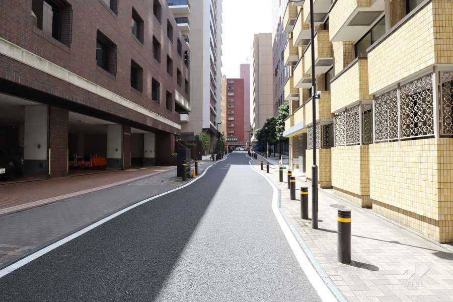 敷地北西側の前面道路（北東側から）