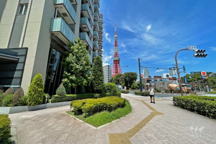 敷地東側の前面道路（南側から）