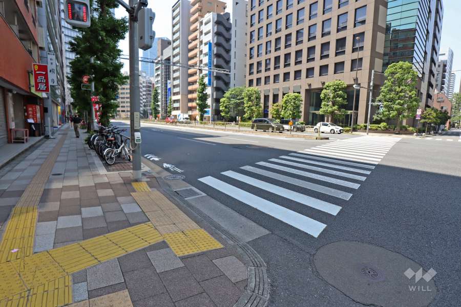 敷地西側の前面道路（北側から）