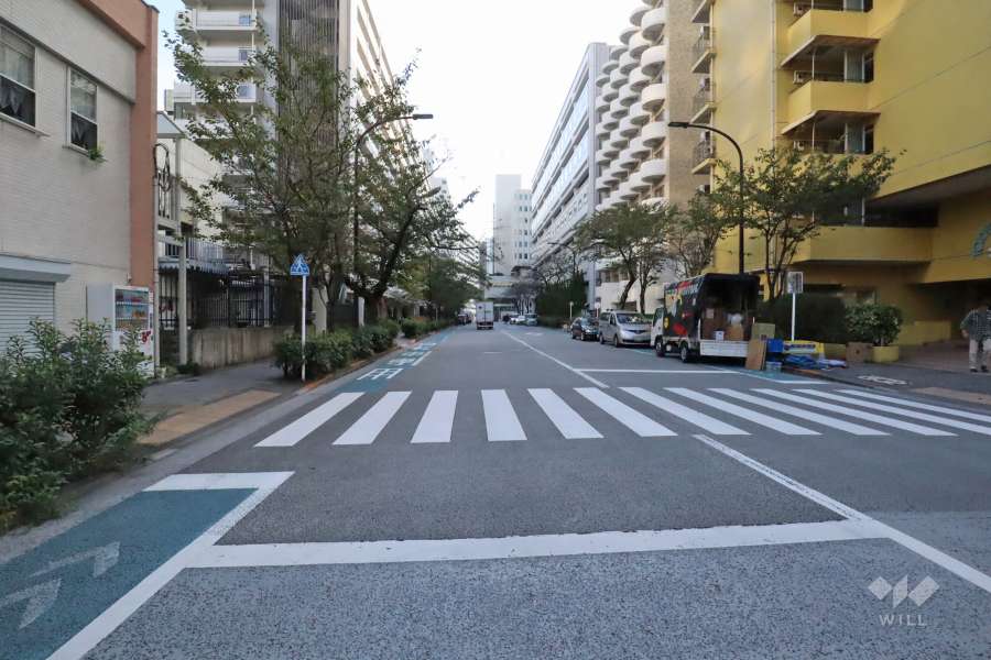敷地東側の前面道路　