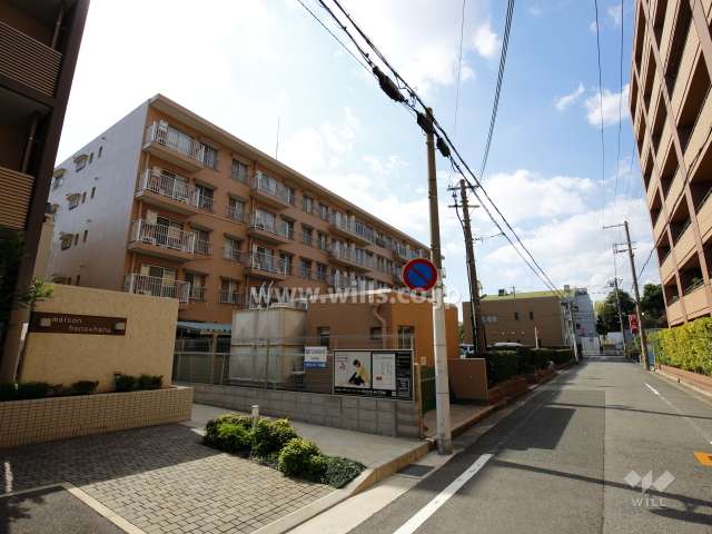 橘公園ハウスの外観（北東側から）
