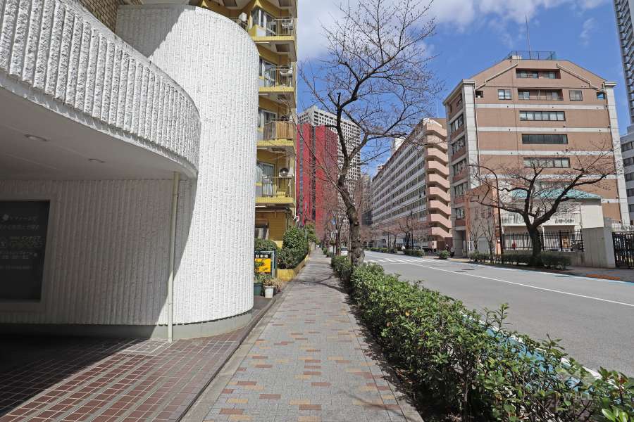 敷地東側前面道路