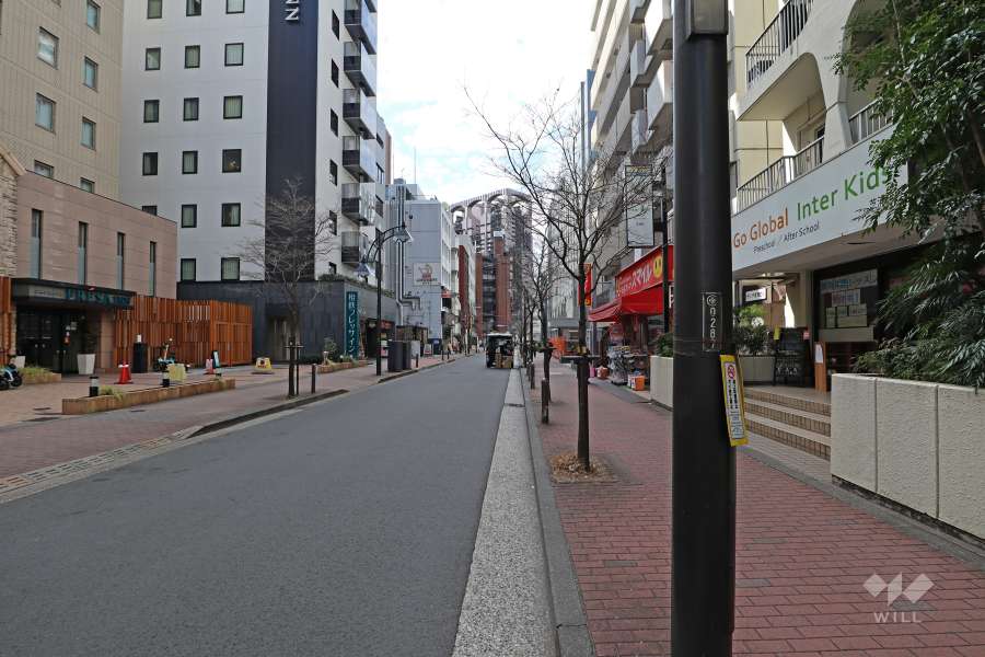 敷地南東側の前面道路（北東側から）