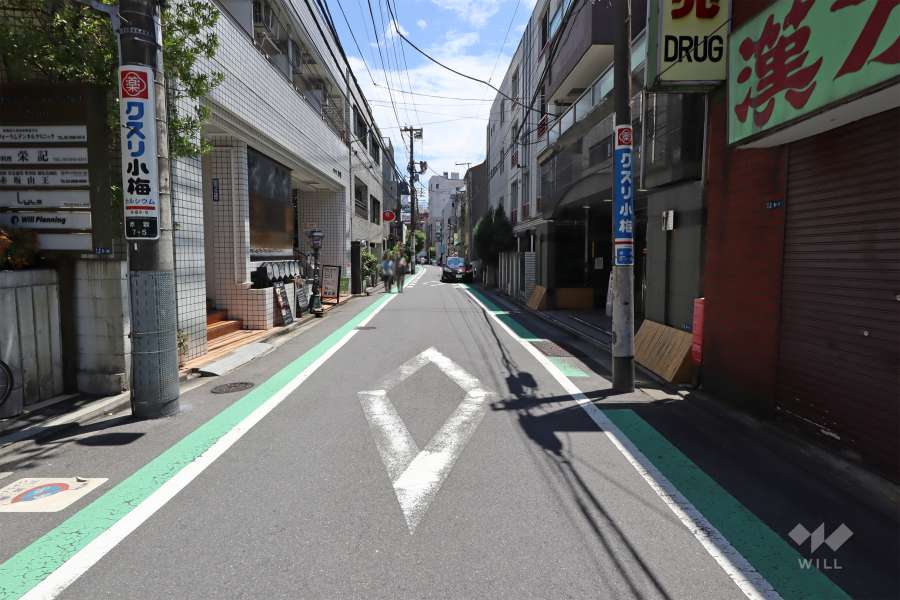 敷地南西側の前面道路（北西側から）
