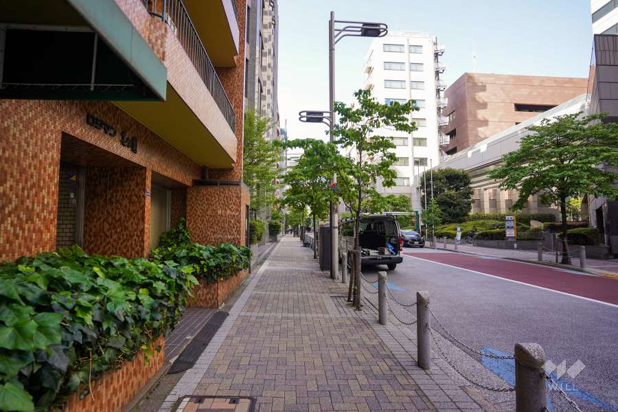 敷地東側の前面道路（南側から）