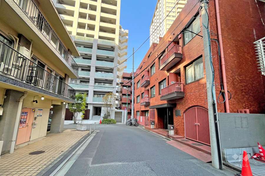 敷地の西側前面道路（南側から）