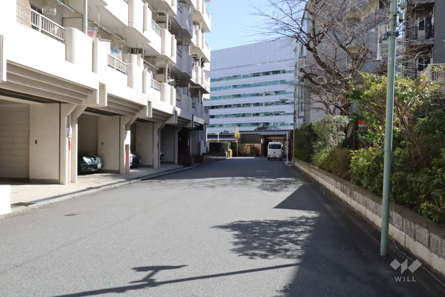 敷地西側の前面道路