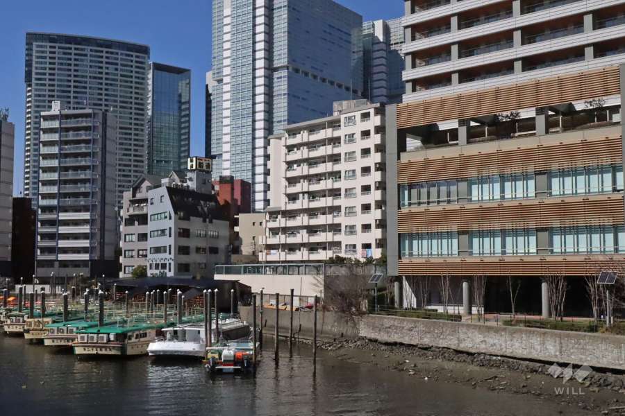 光シャンブル品川東八ツ山公園の遠景