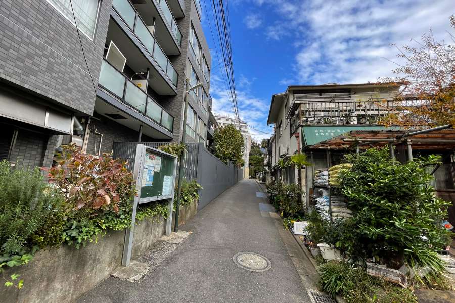 敷地南東側の前面道路（南西側から）