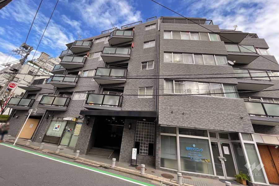 ハイツ赤坂の外観（南西側から）