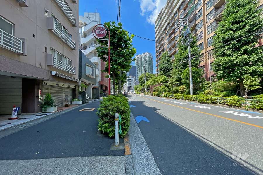 敷地北西側の前面道路（北東側から）