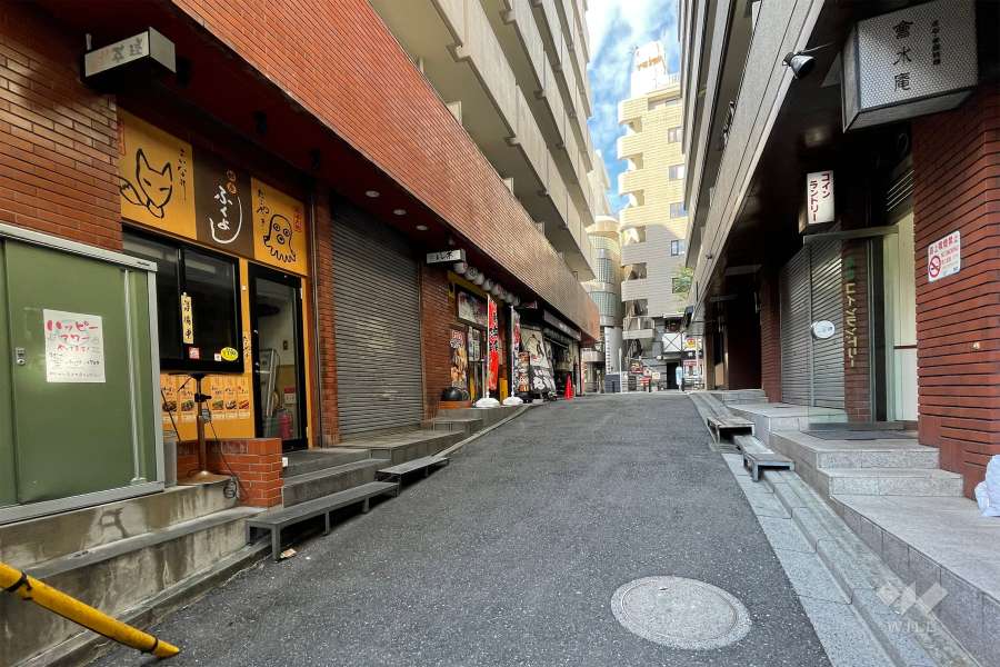 敷地北東側前面道路（南東側から）