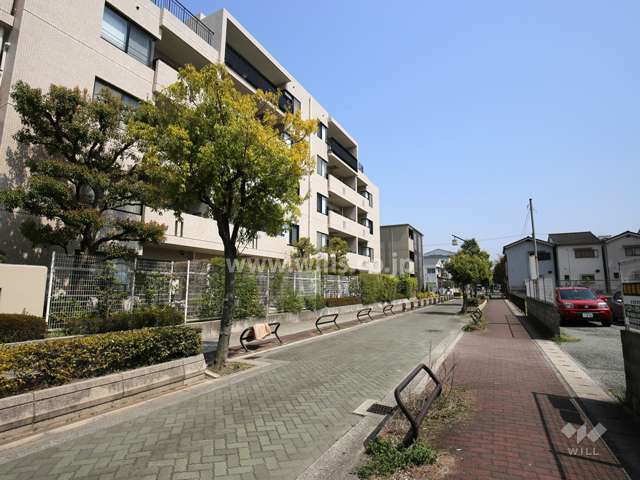 敷地南側の通り