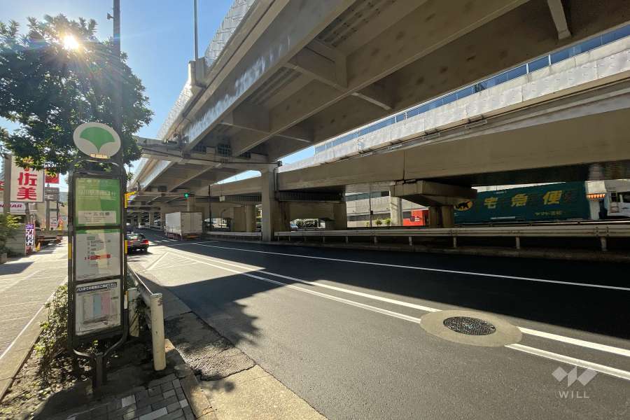 敷地西側の前面道路（北側から）