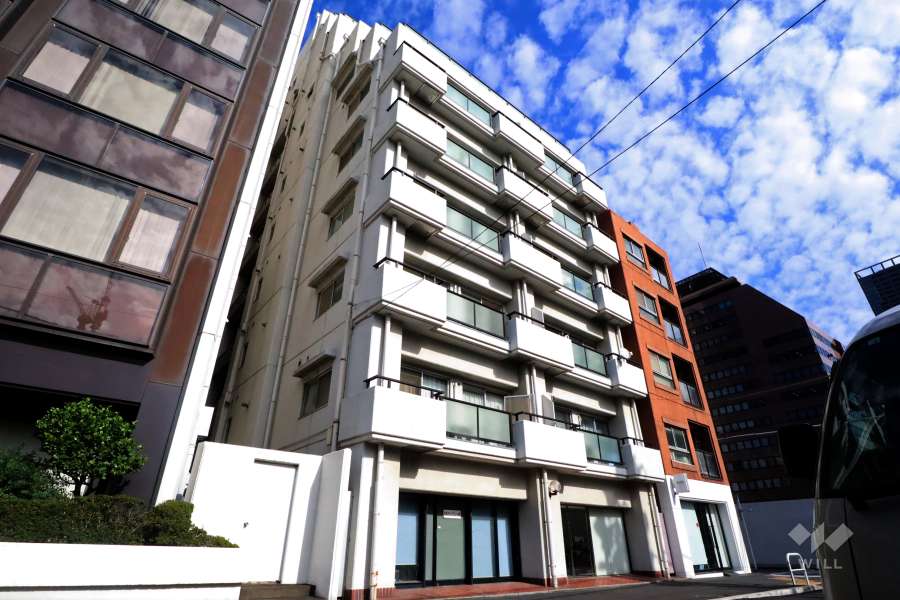 芝公園アビタシオンの外観(南西側から)