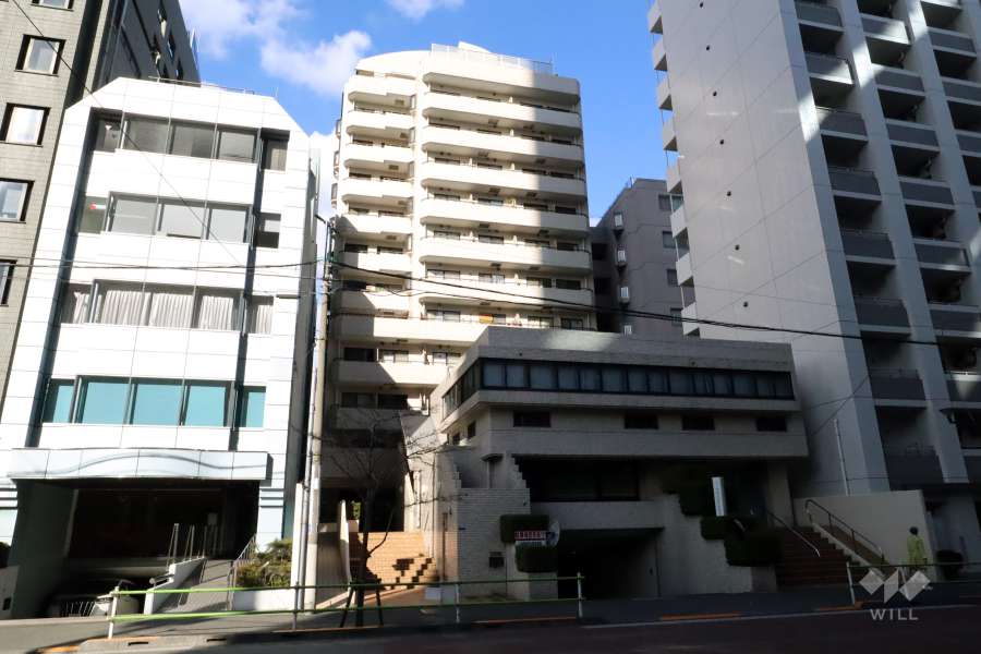 プラザ麻布の外観（南西側から）
