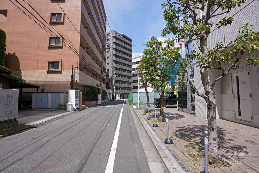 敷地西側の前面道路（南側から）