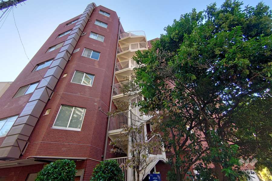 日興パレス南麻布の外観(北側から）