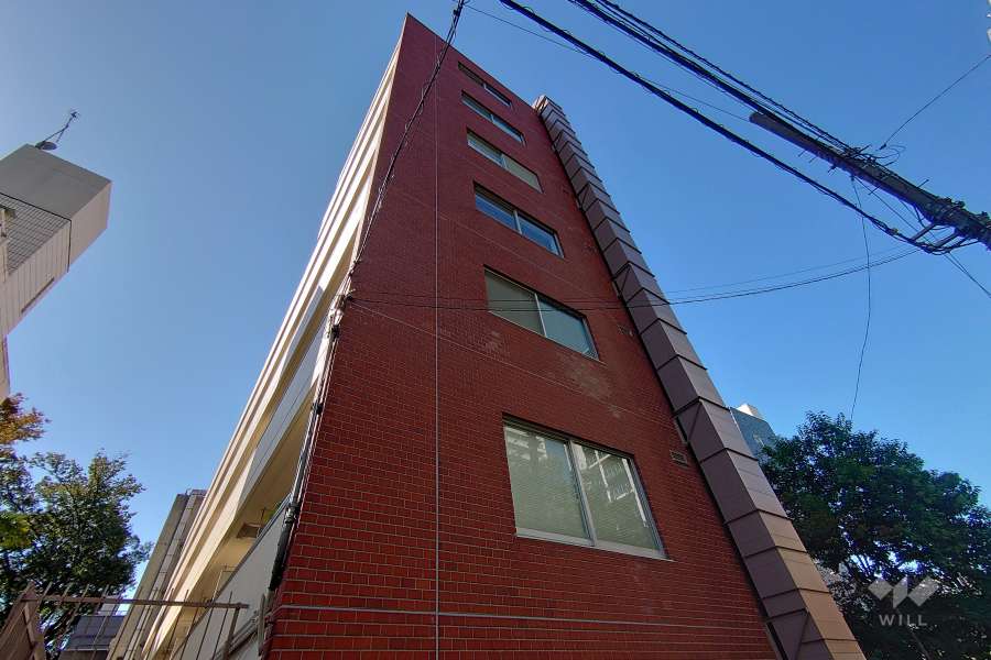 日興パレス南麻布の外観(北東側から）