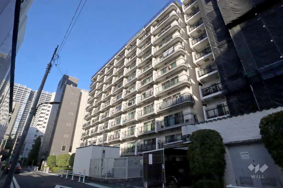 秀和田町レジデンスの外観(西側から)