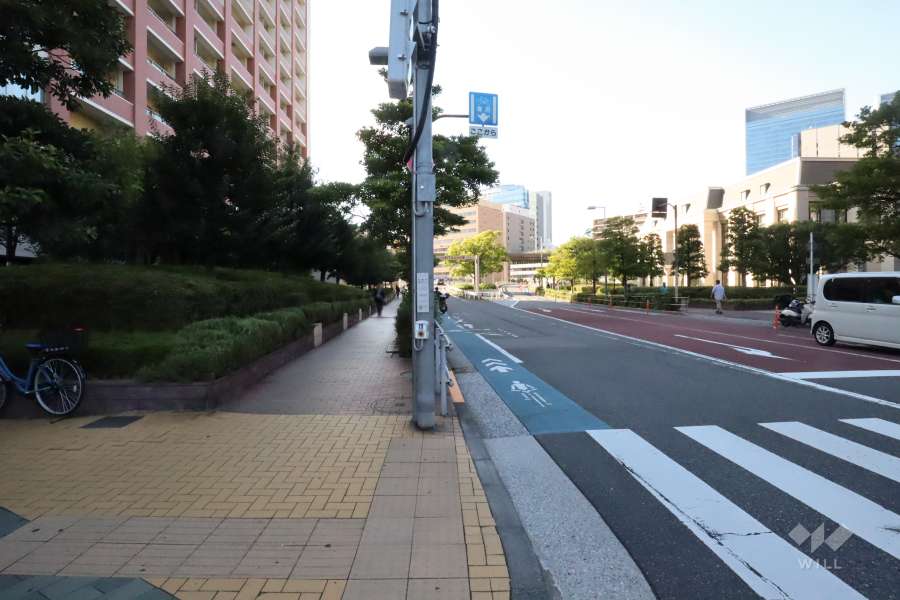 敷地南側の前面道路(西側から)