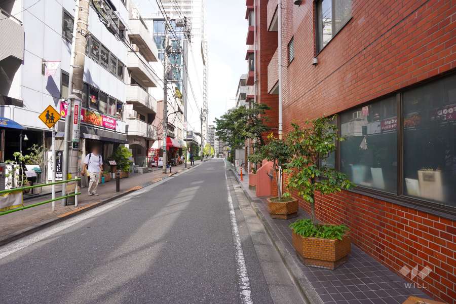 敷地北側の前面道路（西側から）