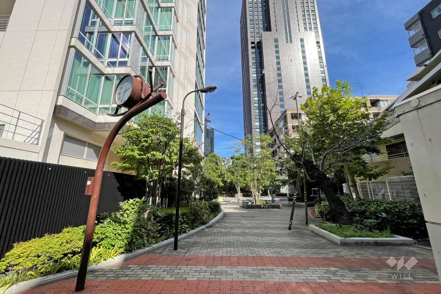 敷地北側の前面道路（西側から）