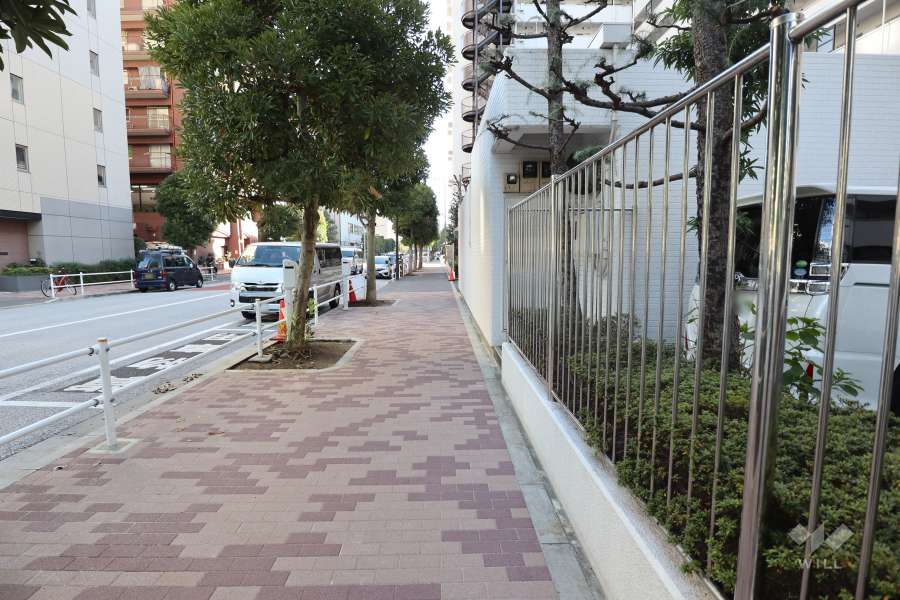 敷地北側の前面道路