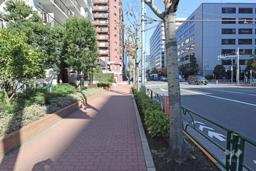 敷地東側の前面道路