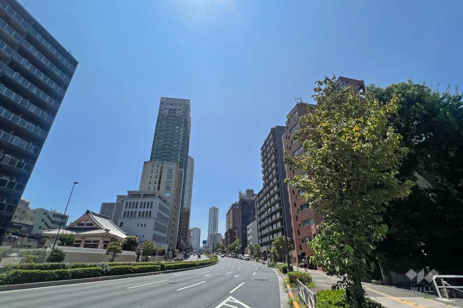 敷地東側の前面道路（北側から）