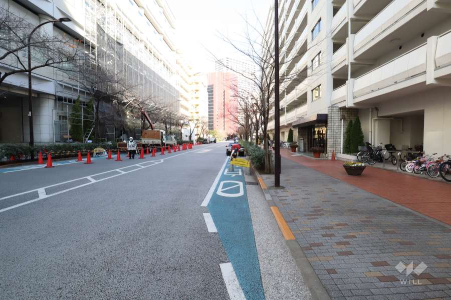 敷地西側の前面道路(南側から)