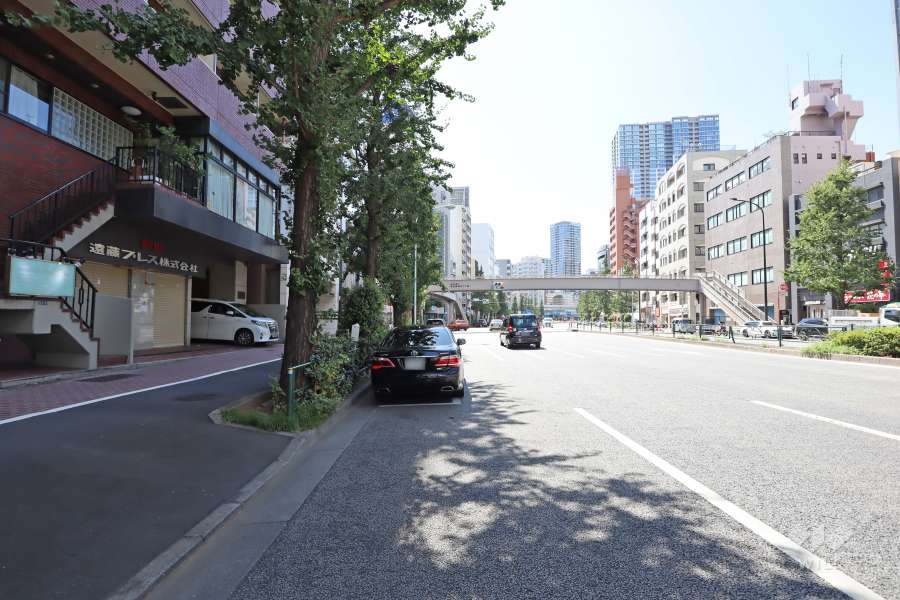 敷地西側の前面道路（北側から）