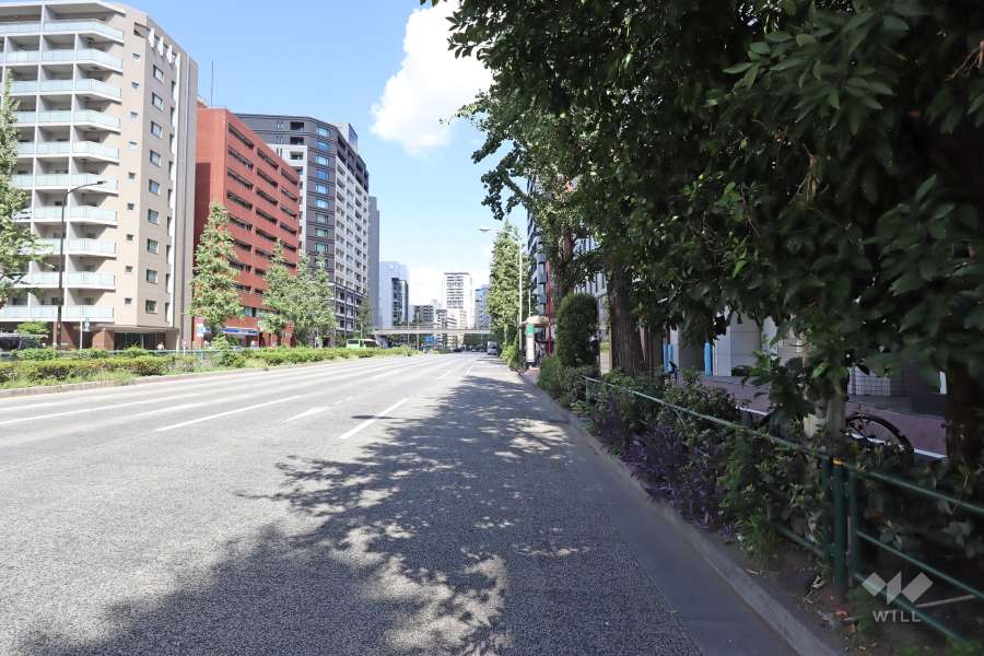 敷地西側の前面道路（南側から）