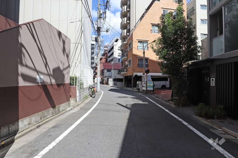 敷地東側の前面道路（南側から）