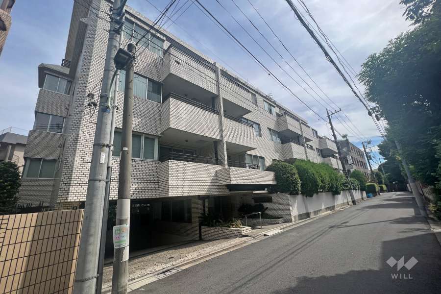 ロイヤル白金ガーデンの外観(南西側から)