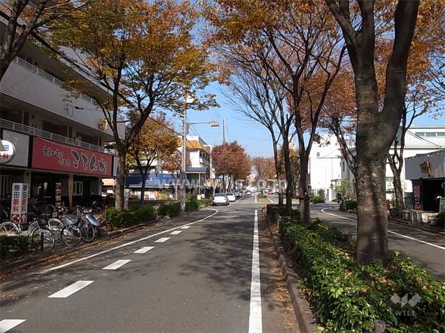 敷地東側は、街路樹がきれいなバス通りに面しています。