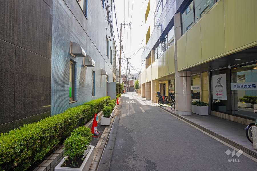 敷地の西側道路（北側から）