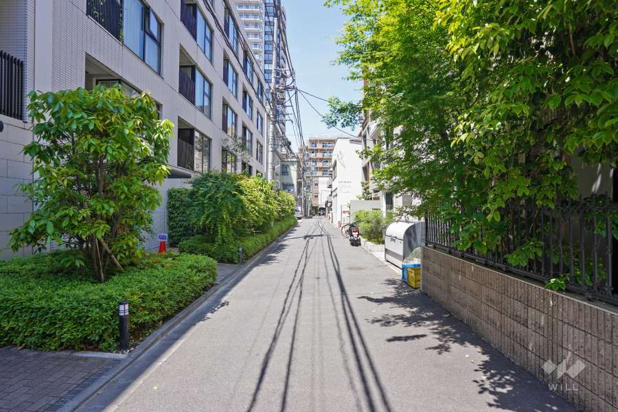 敷地北東側の前面道路（南東側から）