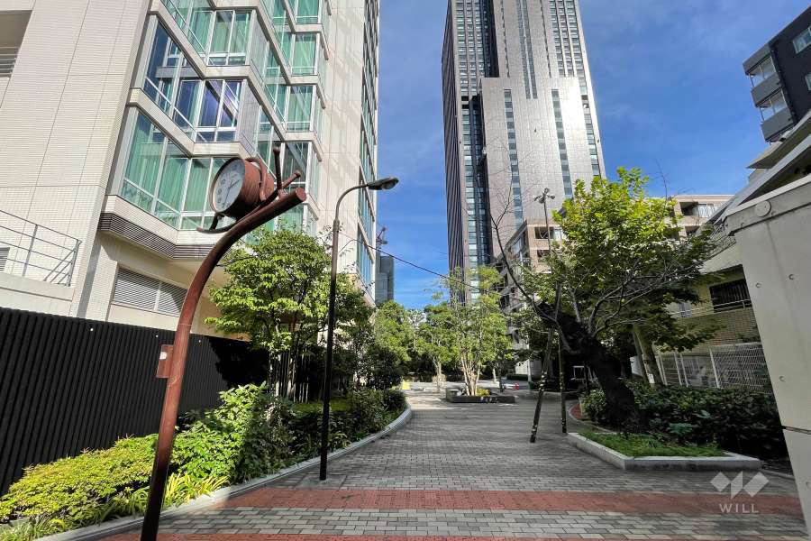 敷地南側の前面道路